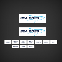 2004-2008 Sea Boss Control Panel Decals
