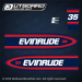 1998 1999 Evinrude 35 hp decal set 0285045, 0285023