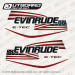 https://outboarddecalset.com/2007-2017-evinrude-115-hp-flag-decal-set-e-tec-white-models.html
