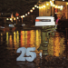 1973 Johnson 25 hp catalog image