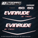 (2) 2009-2014 Evinrude 60 hp E-TEC decal set BLUE cover. 0215536, 0215537, 0215538, 0215880, 0215881, 0215534, 0215896 