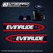 1998 1999 Evinrude 2 hp decal set 0115766