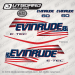 2006 2007 2008 2009 Evinrude 60 hp E-TEC white models stars and stripes decal set,0215545, 0215816, 0215817, 0215882, 0215883, 0215815, 0334435, 0215896, 0215558