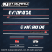 1992 1993 1994 Evinrude 85 hp V4 backtroller decal set