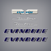 N-1953 Evinrude 7.5 hp Fleetwin decal set 7512, 7513