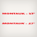 Boston Whaler Montauk - 17' Style I Decal Set *
