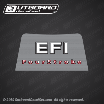 2006 2008 2010 Mercury 15/20/25/30 hp EFI Four Stroke rear decal (Outboards)