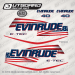 2004 2005 2006 2007 2008 Evinrude 40 hp E-TEC white models stars and stripes decal set,0215545, 0215816, 0215817, 0215882, 0215883, 0215532, 0334435, 0215896, 0215558